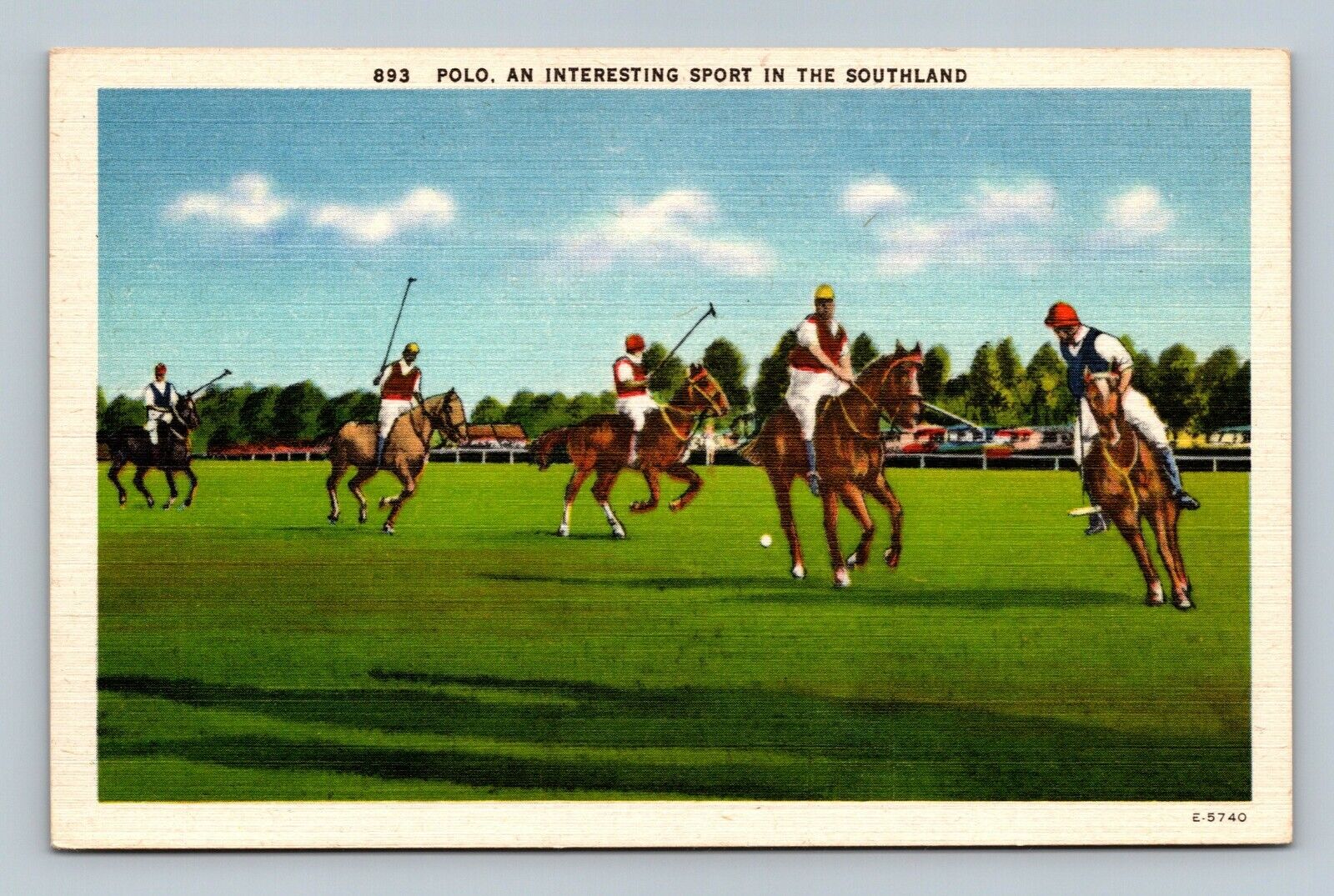 Polo, An Interesting Sport in the Southland Postcard