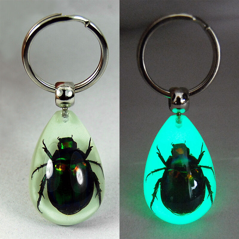 NEW RARE REAL BEETLE GLOW KEYRING INSECT KEYCHAIN GIFT