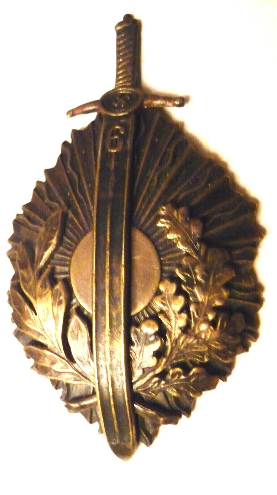 Latvia medal, badge, 6 Rigas Infantry Regiment 1919