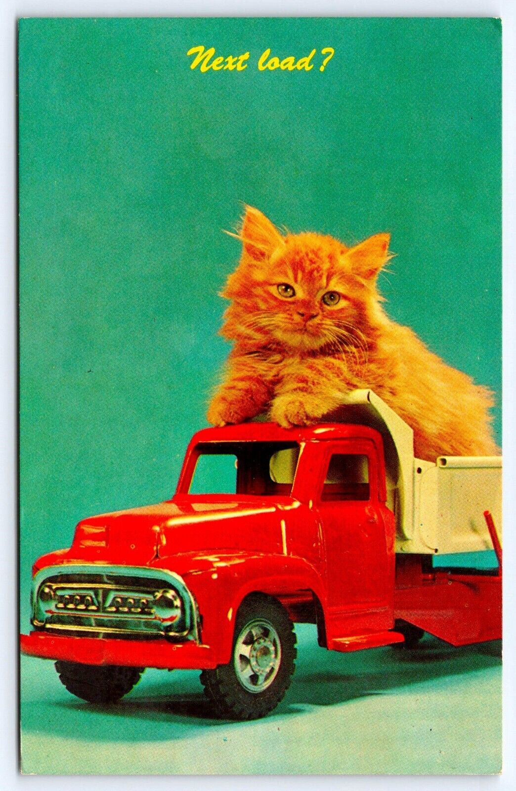 North Kingsville Ohio Kitten in Buddy L Toy Dump Truck Next Load? OH Postcard