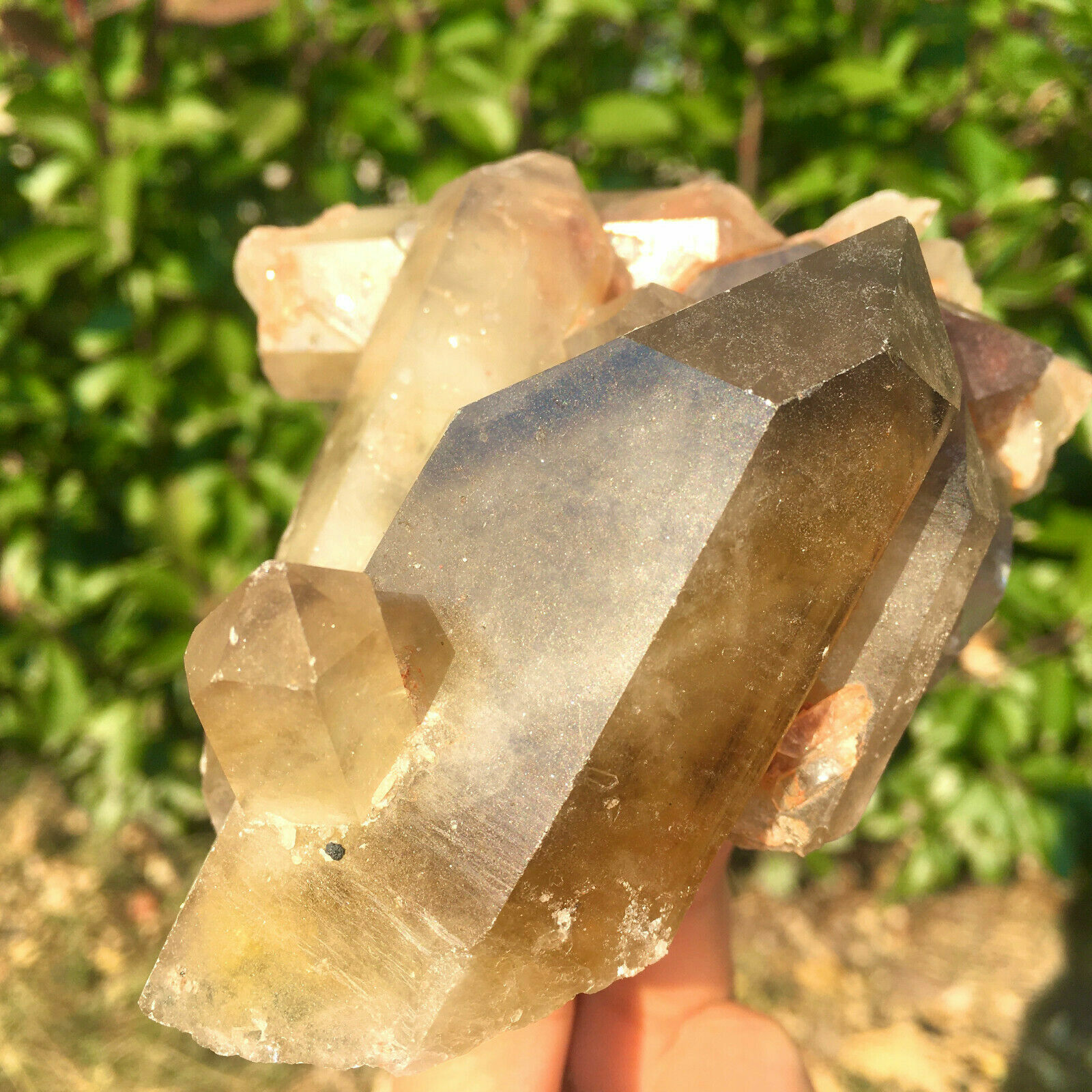 391g Natural Citrine Quartz Crystal Cluster Mineral Specimen 
