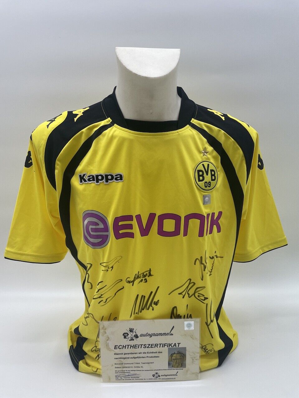 Bvb Jersey 2009/2010 Teamsigniert Borussia Dortmund COA Kappa Nike Bundesliga