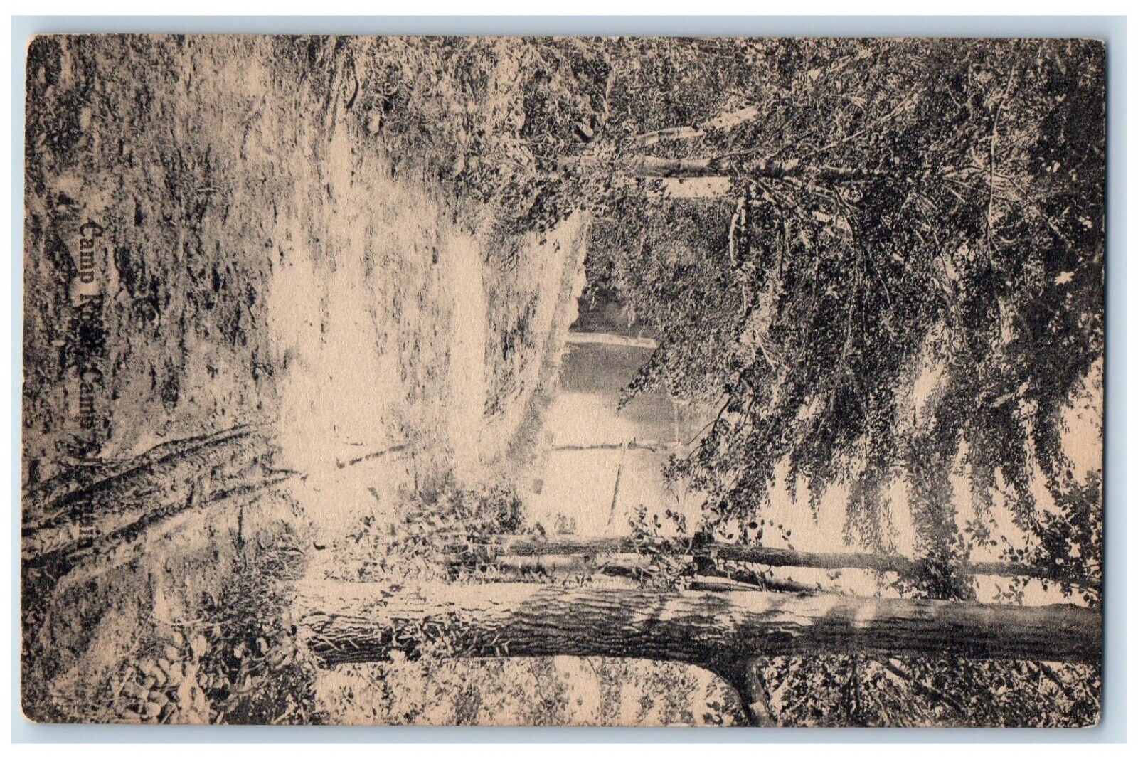 c1910 Camp Algonquin Trees River Lake Argyle New York Vintage Antique Postcard