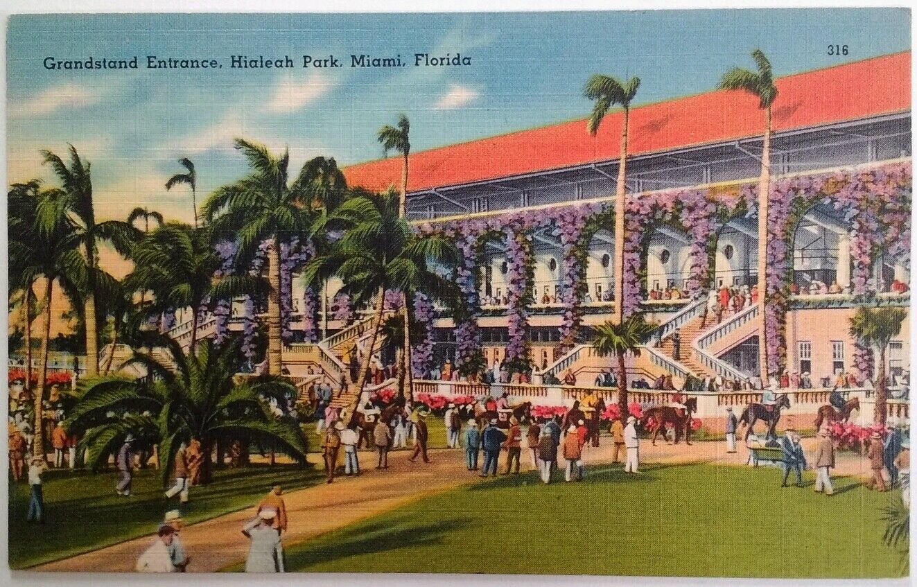 Miami Florida Postcard Vtg Early 1900s Hialeah Park Horse Race Grandstand Entran