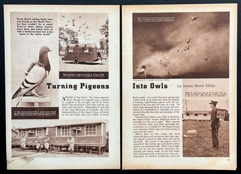 “Turning Pigeons Into Owls” 1940 pictorial War Pigeon Army Signal Corps School