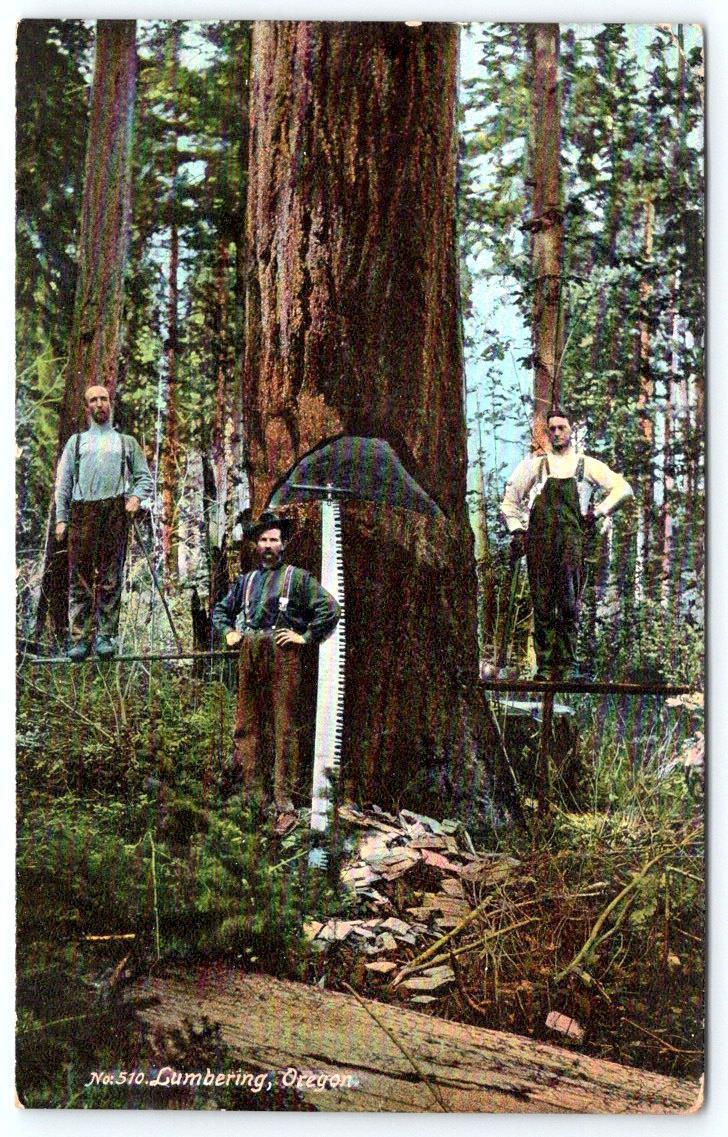 1907 LUMBERING LOGGERS POSING WITH SAW OREGON PORTLAND POSTMARK POSTCARD