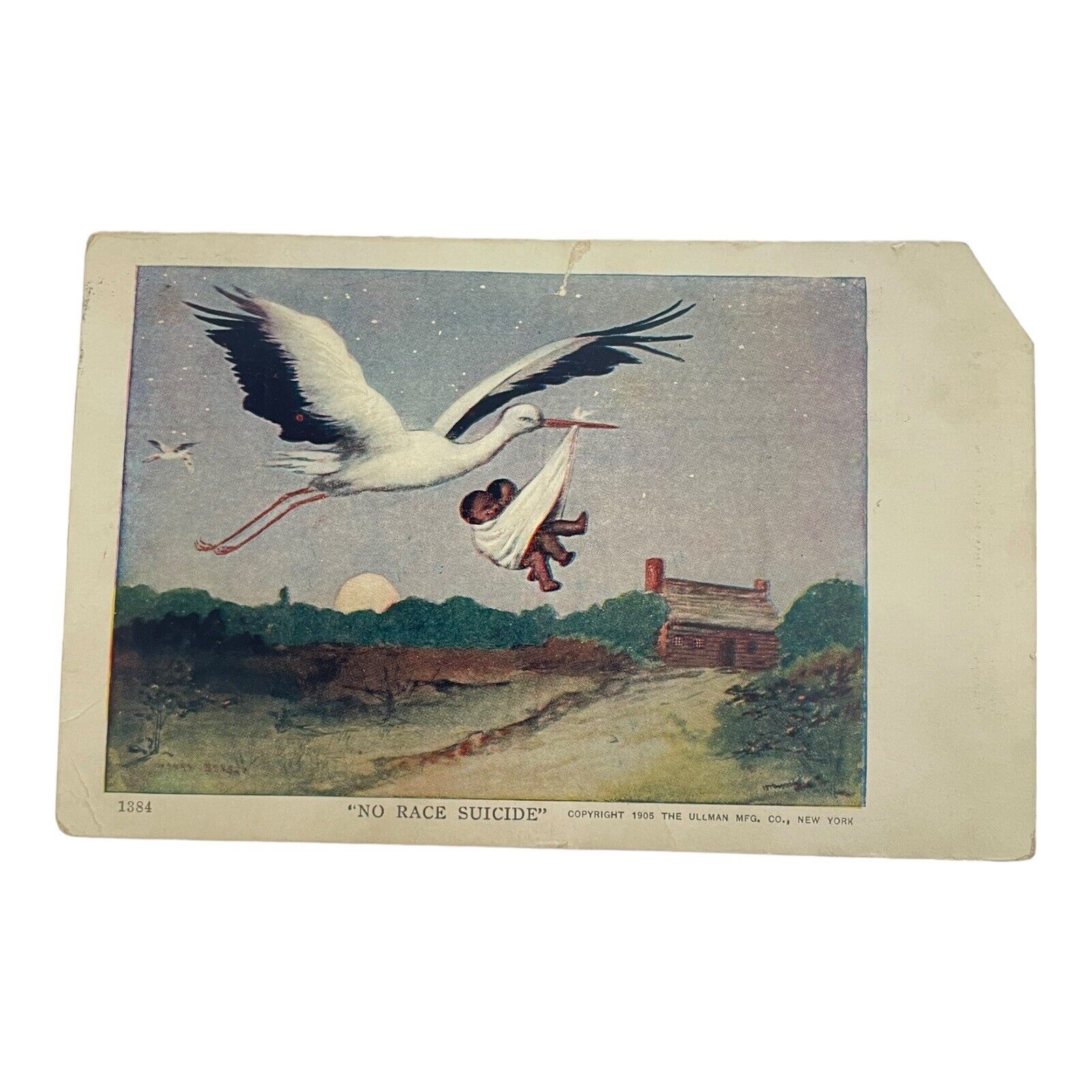 Stork Series #3 Teddy Roosevelt Postcard Race Suicide Theme, Ullman Publish 1905