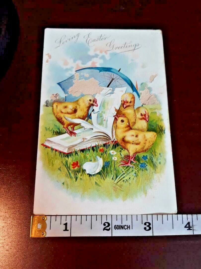 Tuck\'s Postcard Loving Easter Greetings Chicks Under Umbrella ~ Ships Free ~