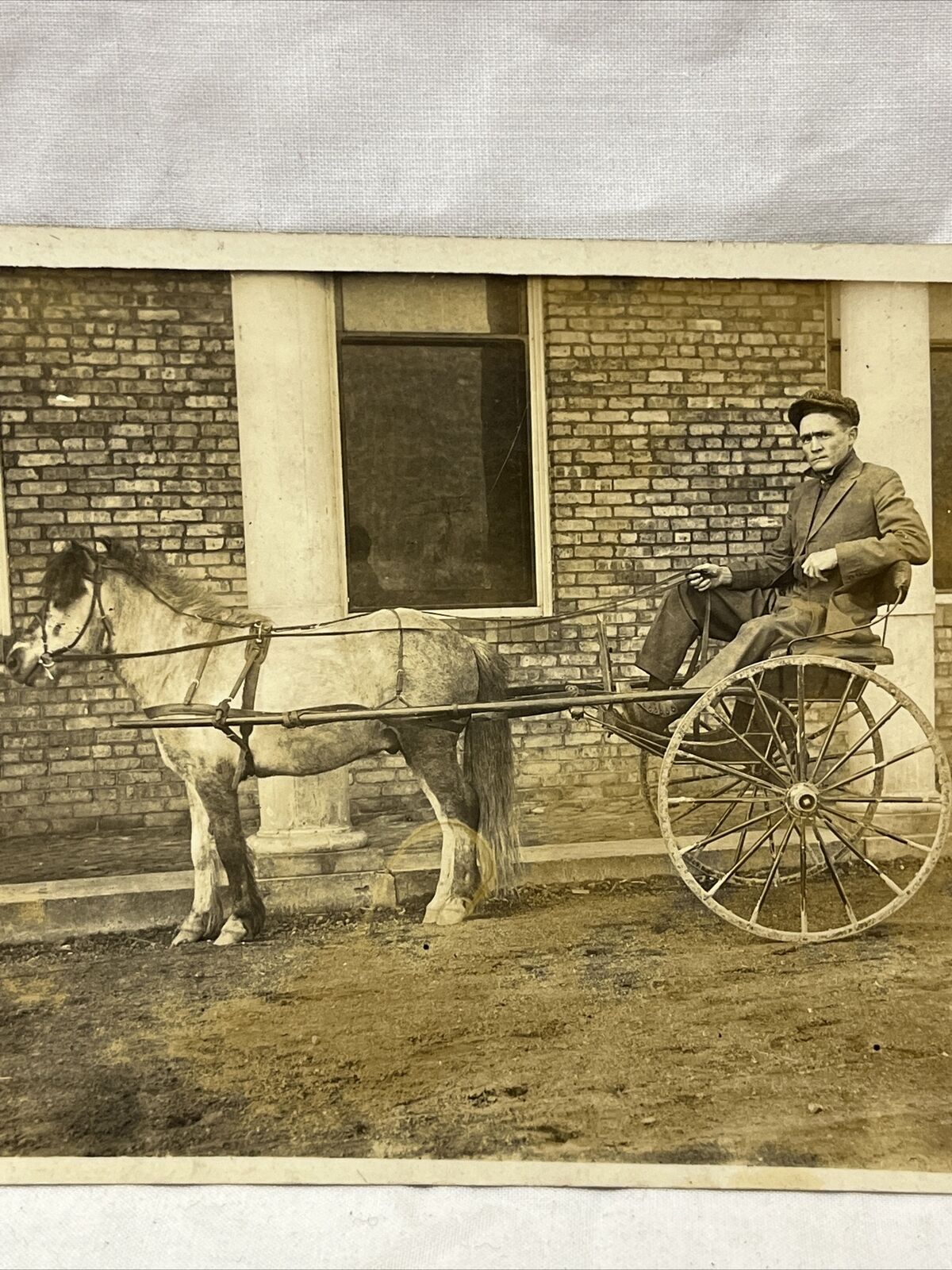 Farm Pony Cart RPPC Early 1900s Antique Photograph