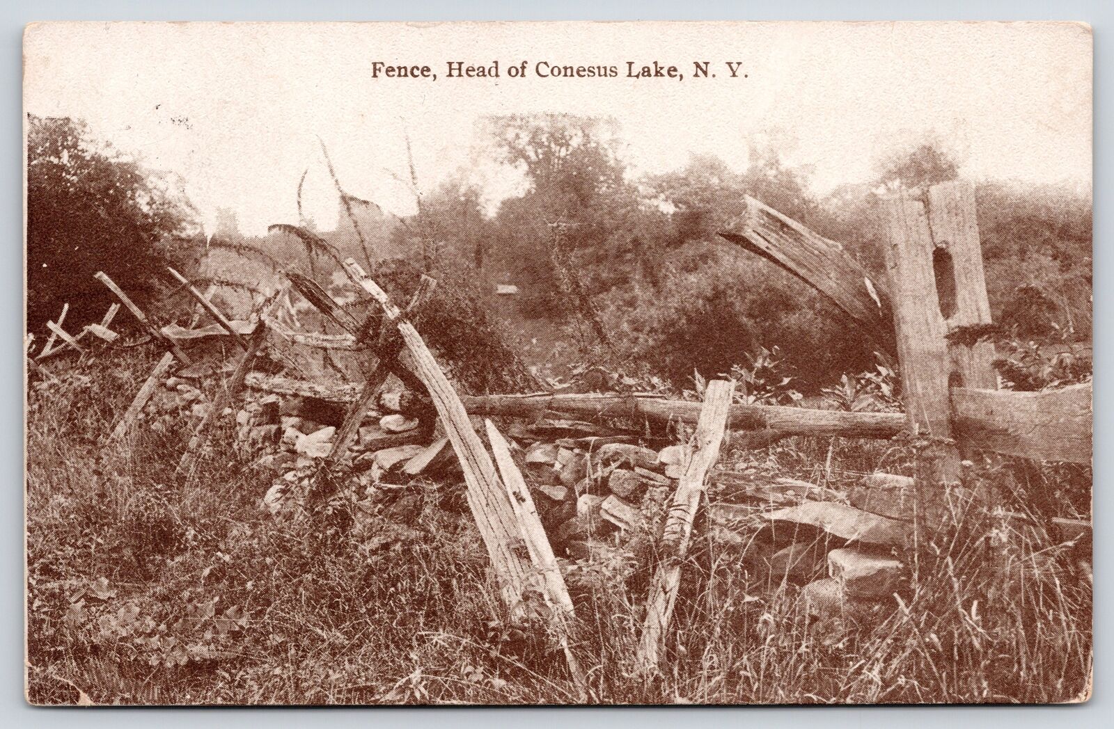 Conesus Lake New York~Old Split Rail Fence Ruins at Head of Lake~1914 Sutton Pub
