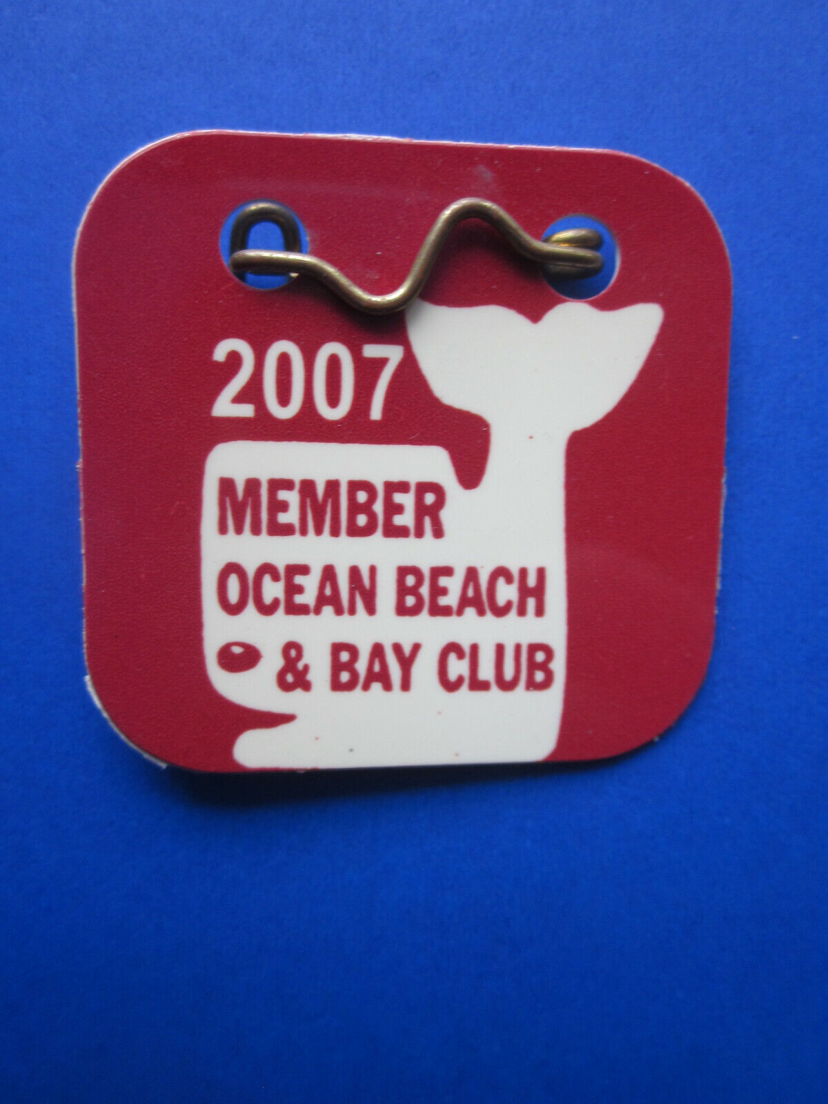 2007  OCEAN  BEACH  NEW  JERSEY  SEASONAL  BEACH  BADGES/TAGS   17  YEARS  OLD