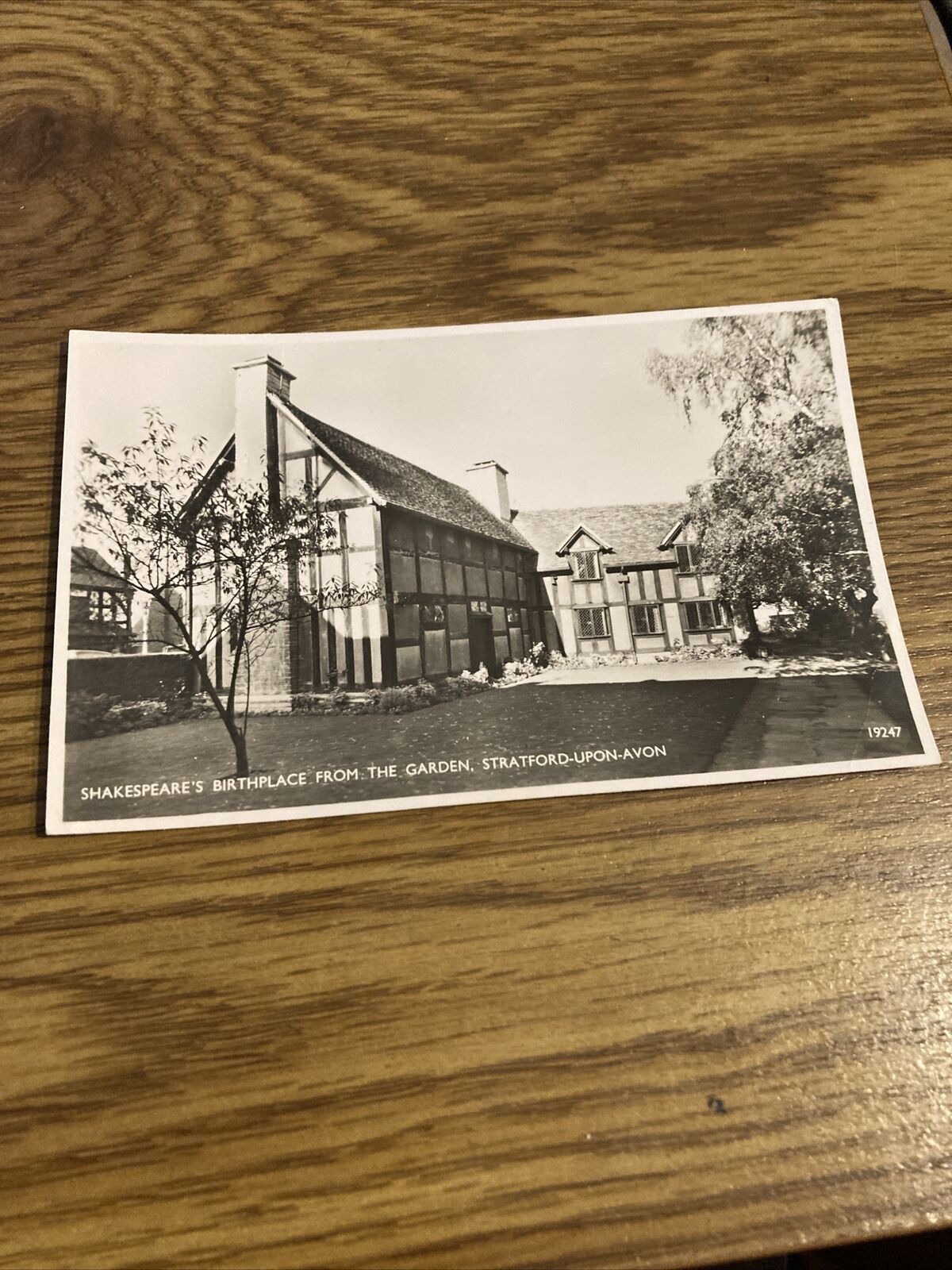 Vintage Postcard - Shakespeare\'s Birthplace From the Garden, RPPC