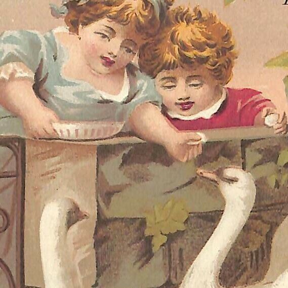 c1880-90\'s Victorian Trade Card - T.R. Kemp Groceries Philadelphia Kids Swans