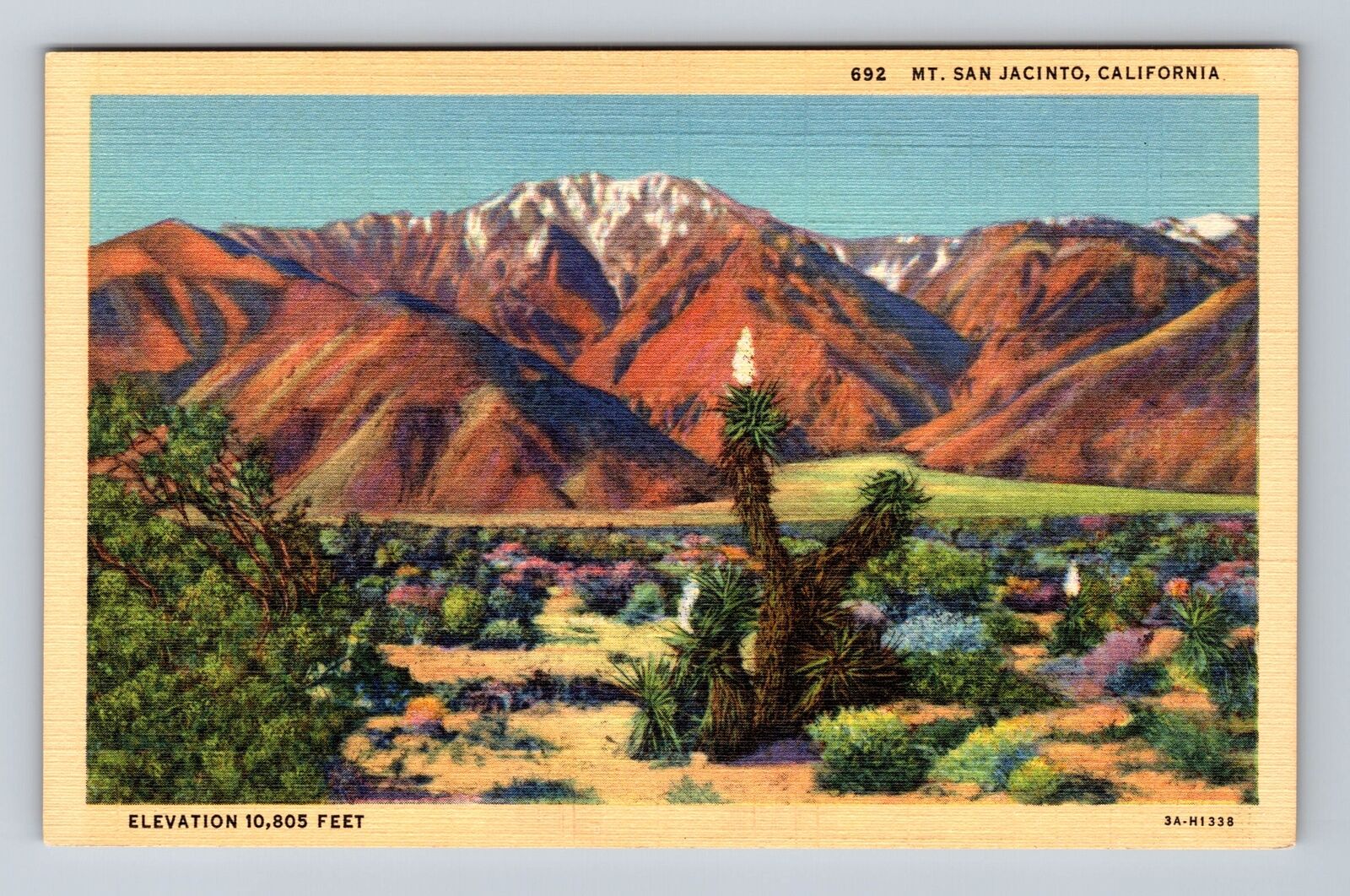 Mt San Jacinto CA-California, Scenic View Mt San Jacinto Vintage Postcard