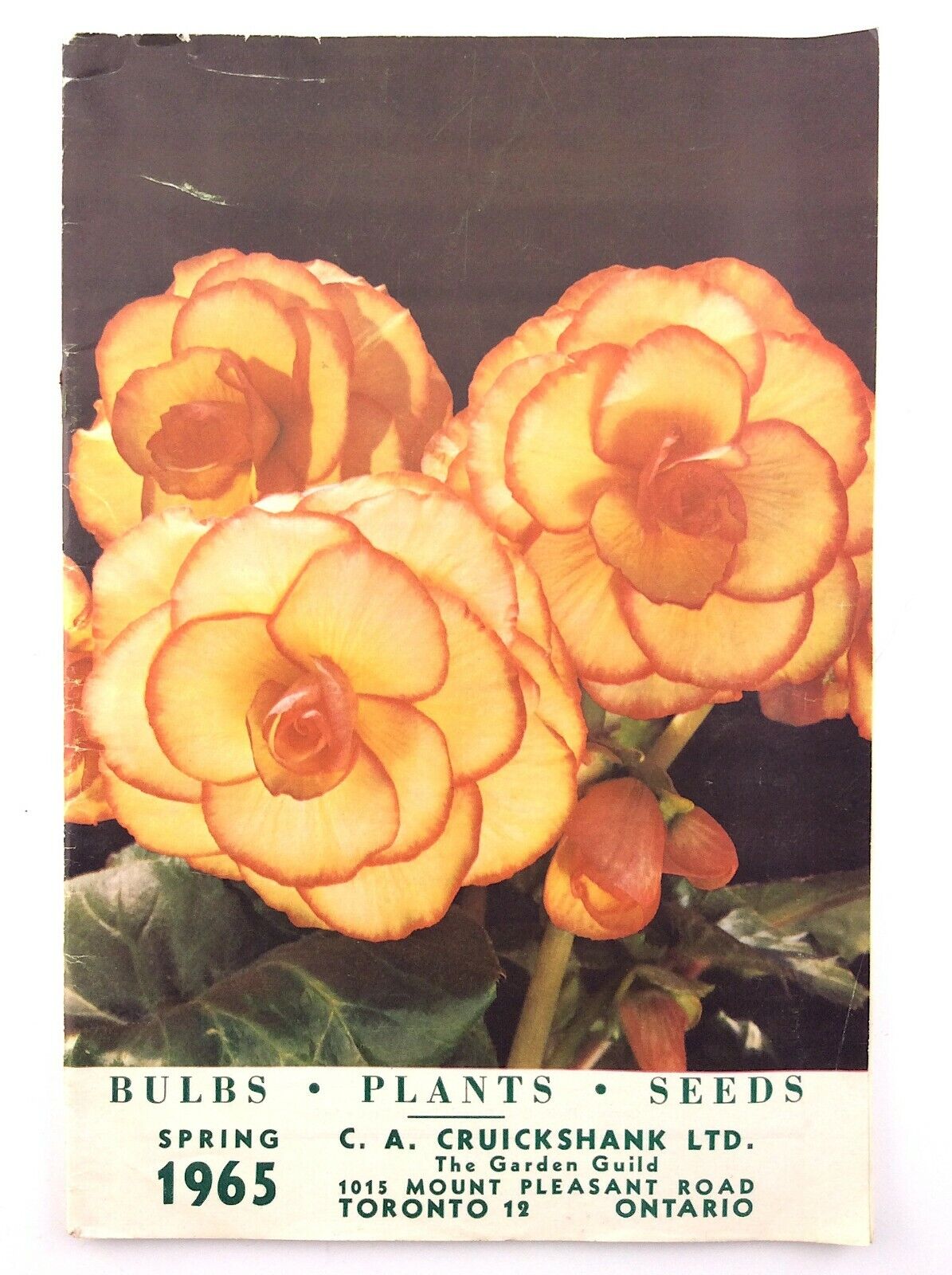 CA Cruickshank Spring 1965 Garden Guild Toronto Ontario Bulbs Seed Catalog Q283