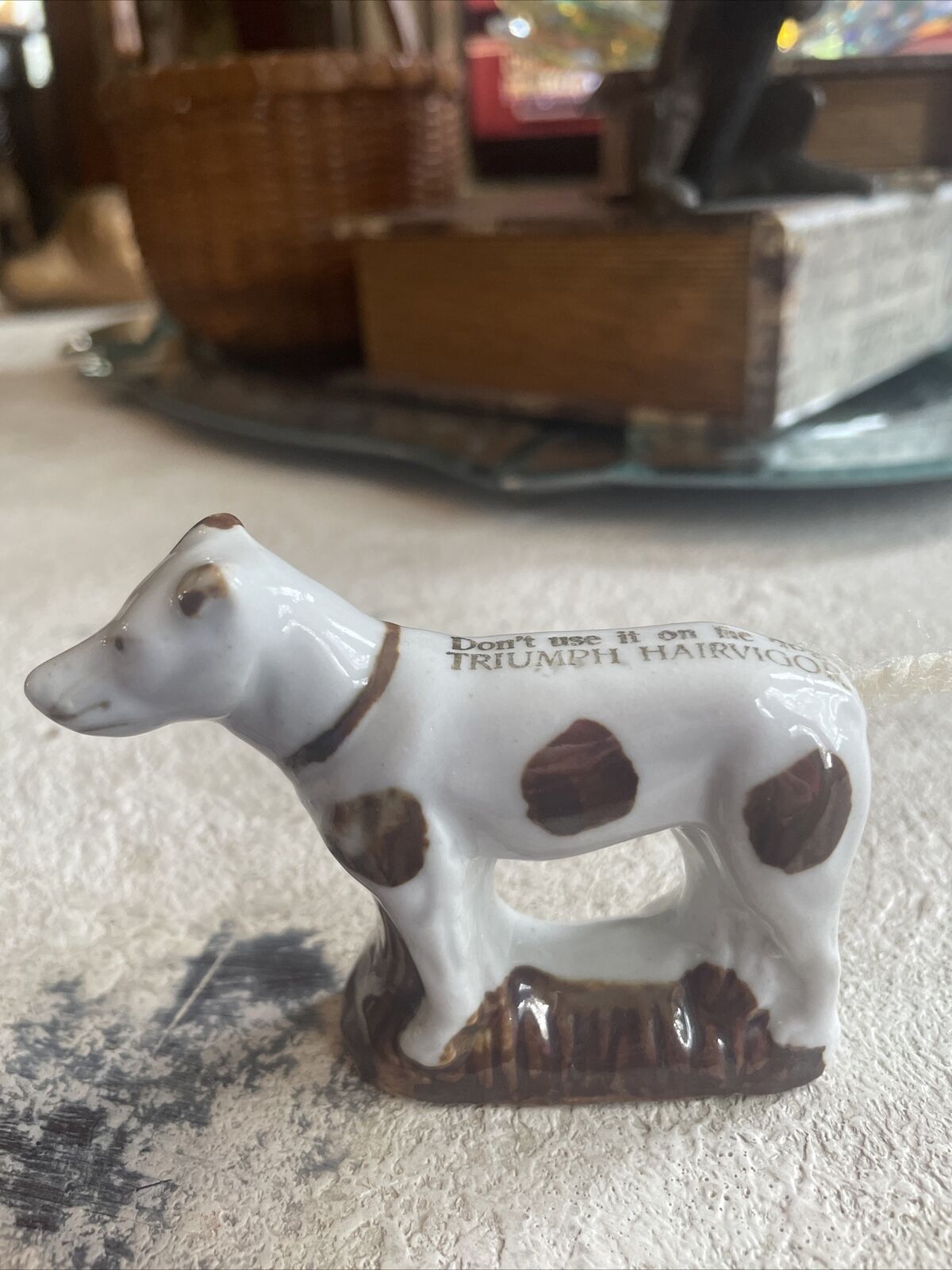 Vintage Advertising Porcelain Dog “Triumph Hairvigor” Advertisement Figurine