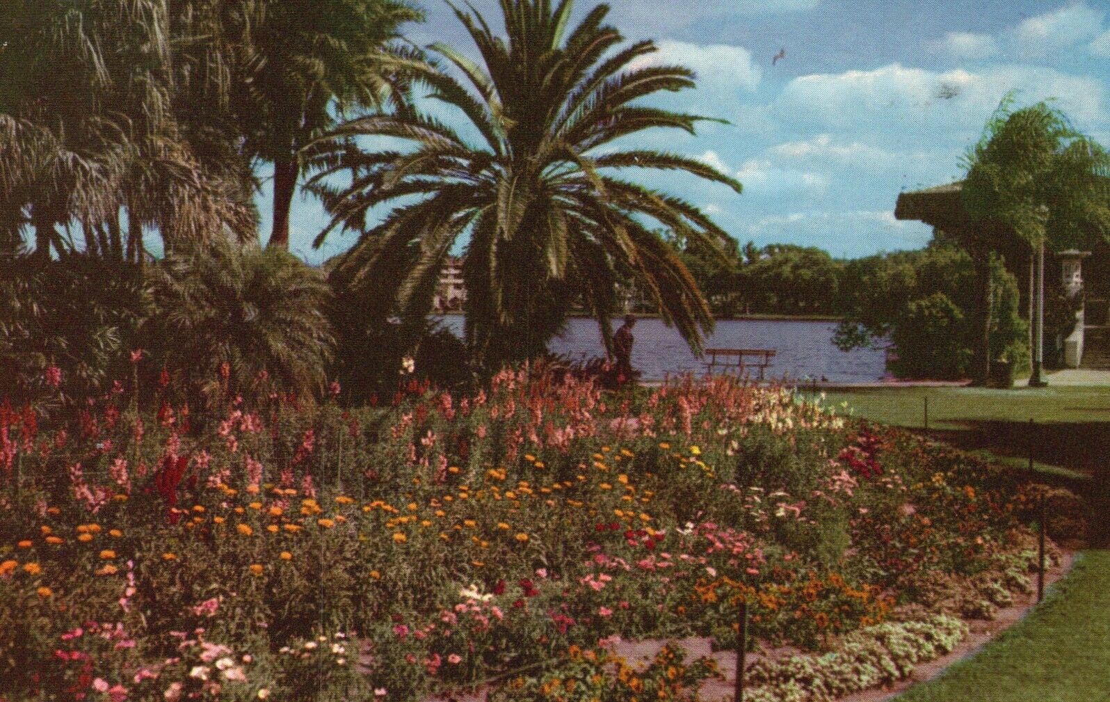 Postcard FL Orlando Tropical Palms & Flowers Cooling Lakes Vintage PC H5289