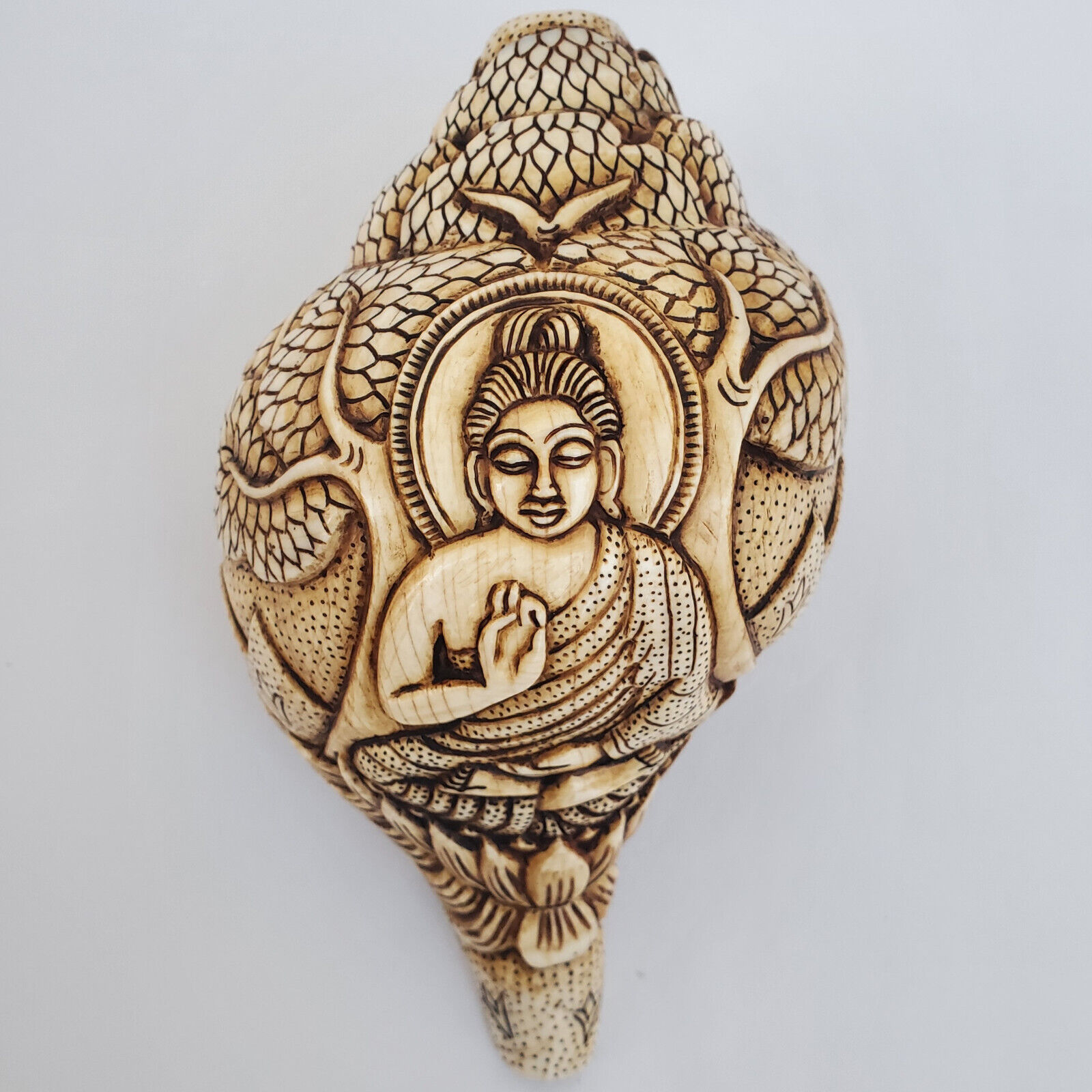 Shakyamuni Buddha Carved on Conch Shell Trumpet 7.5\