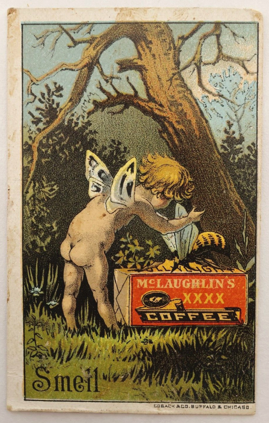 Antique Victorian Era Drink McLaughlin's XXXX Coffee Trading Card Ad Cherub Bee