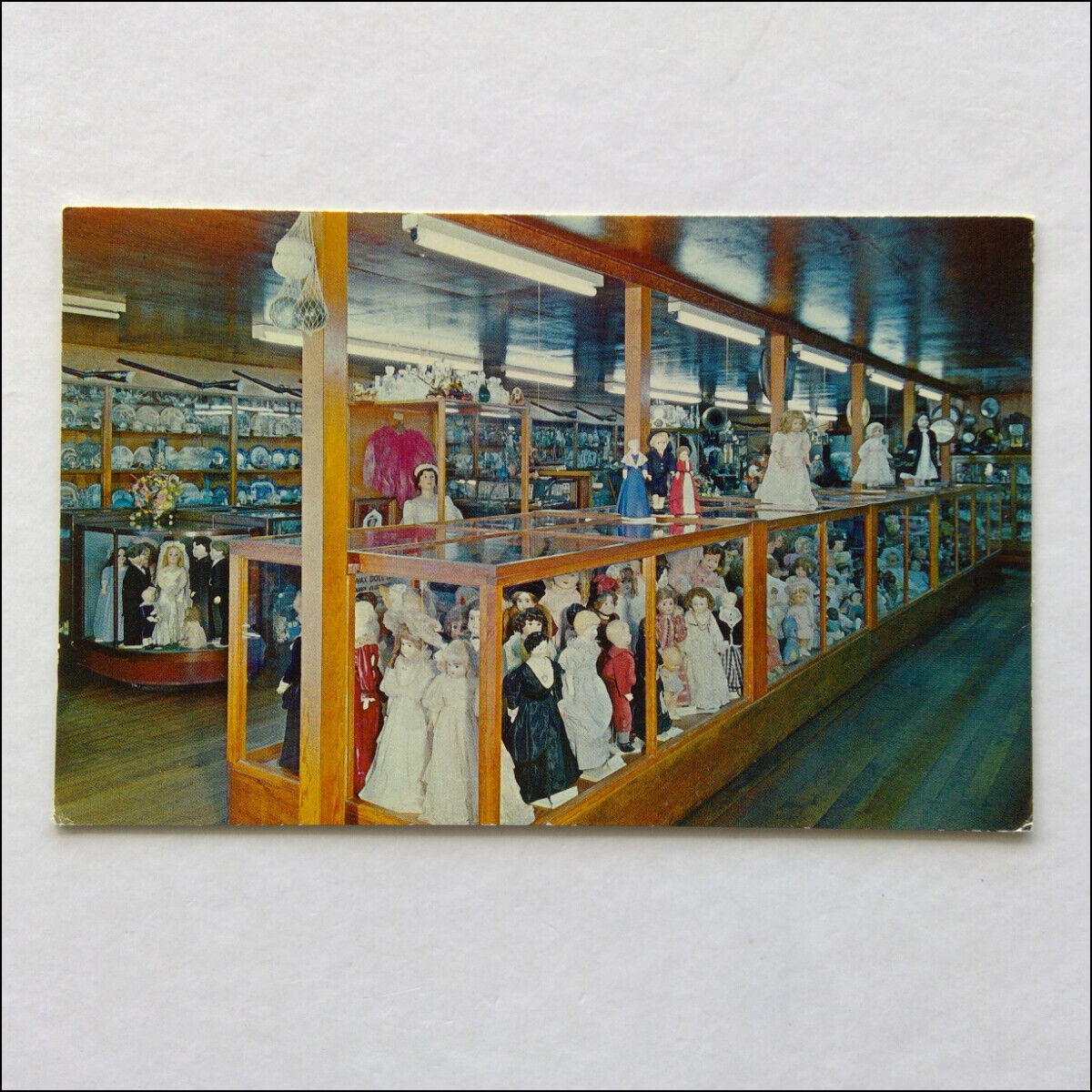 Lacey\'s Doll House Museum by the Sea Wecoma Beach Oceanlake Postcard (P370)