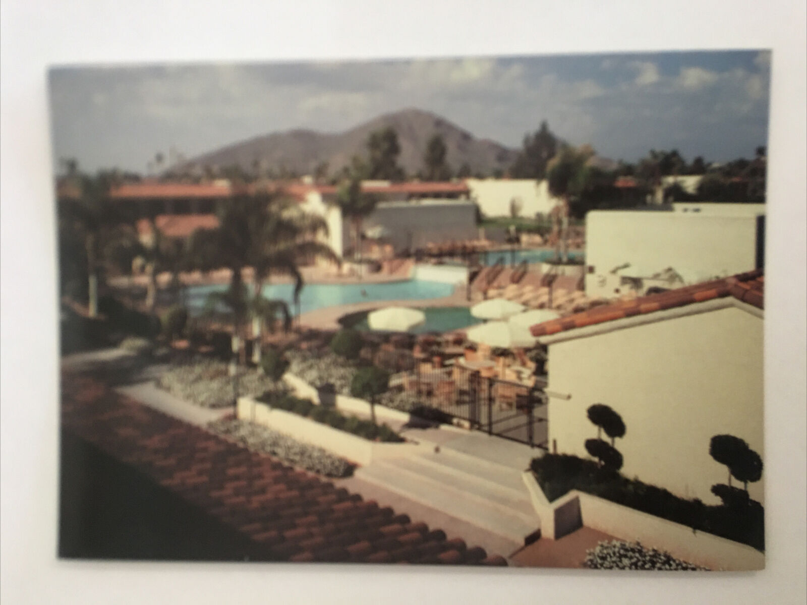 Sheraton Scottsdale Resort Arizona Vintage Postcard