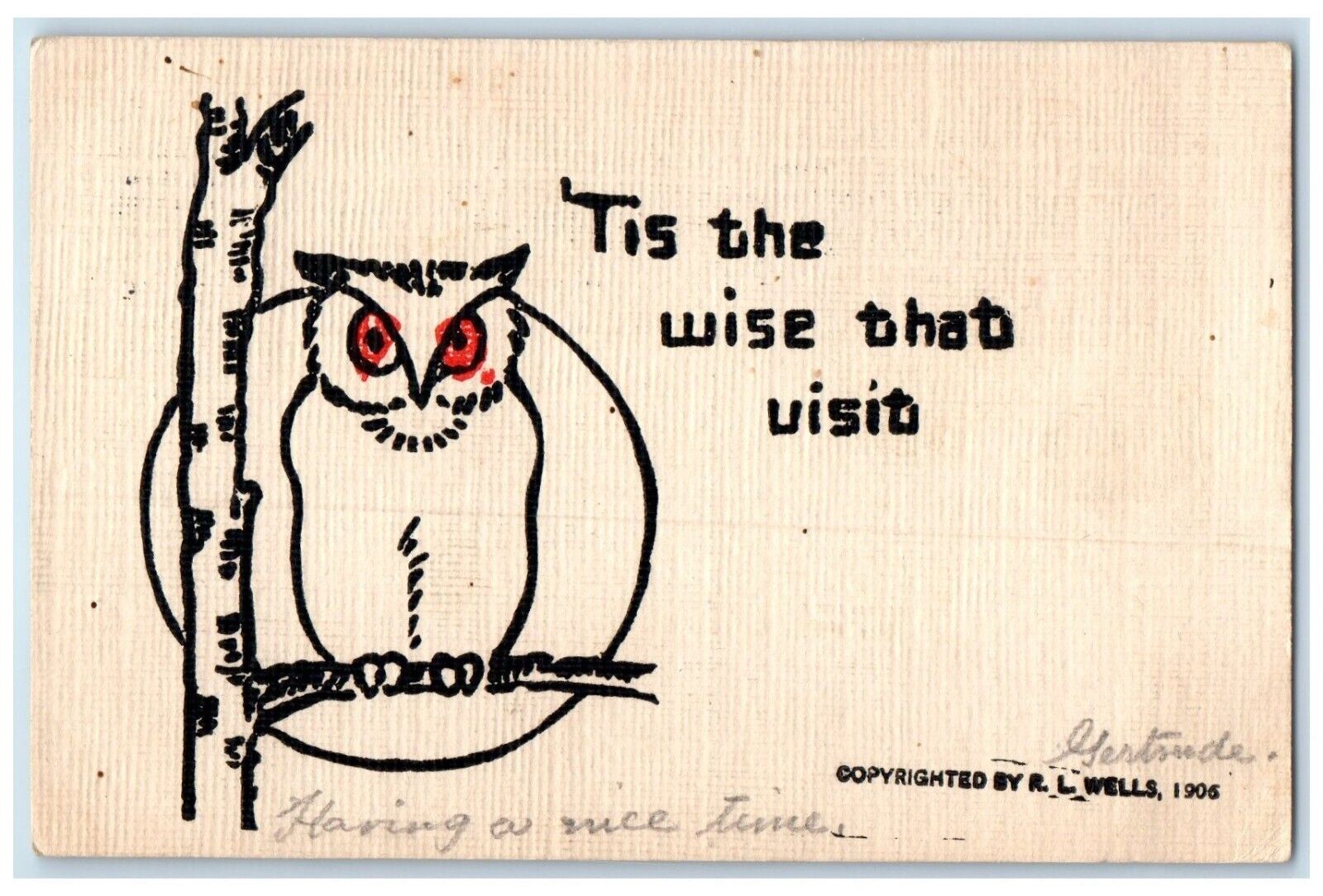 1907 Owl Tis The Wise That Visit South Bethlehem Pennsylvania PA Posted Postcard