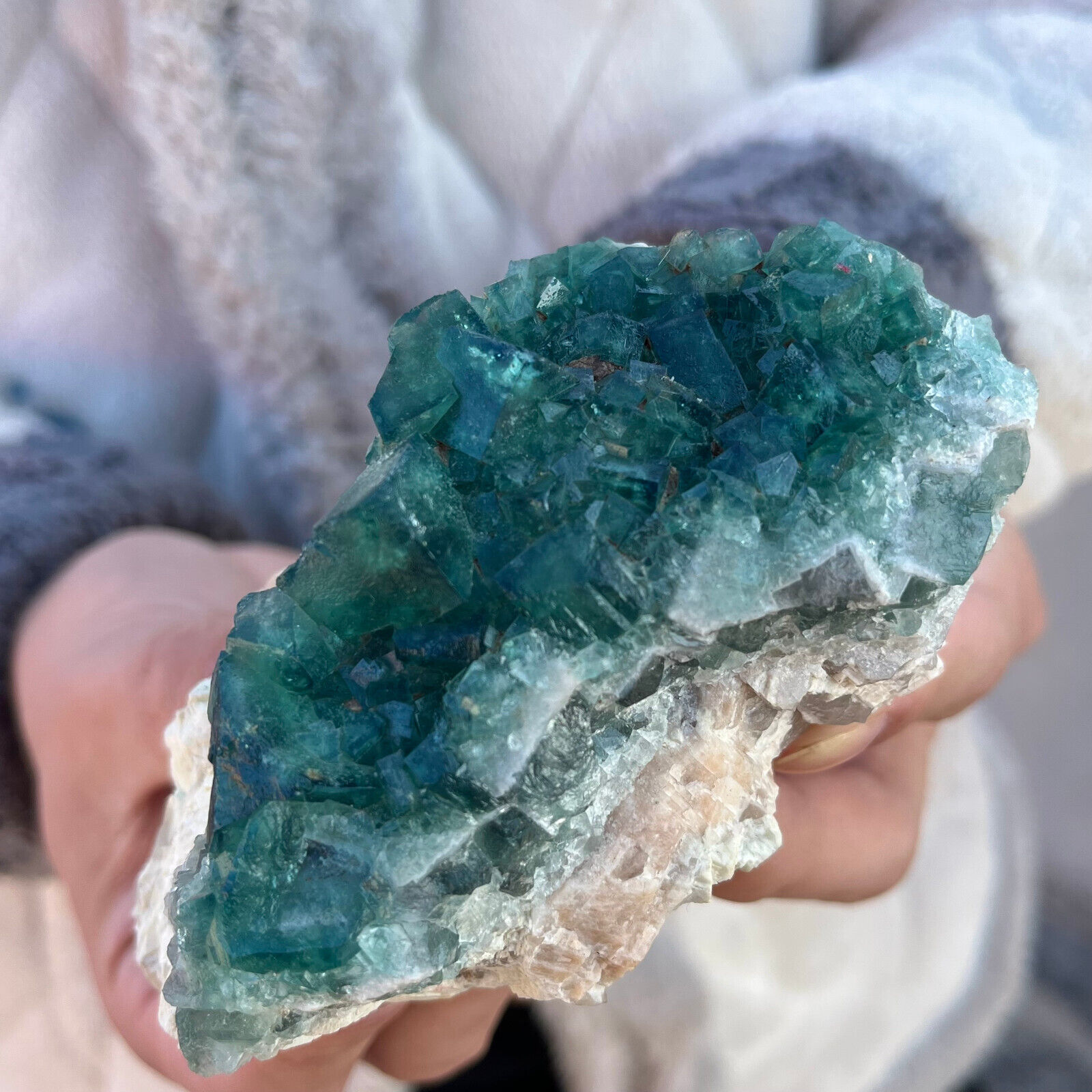 0.7LB Natural Green Cubic FLUORITE Crystal Cluster Mineral Specimen RARE
