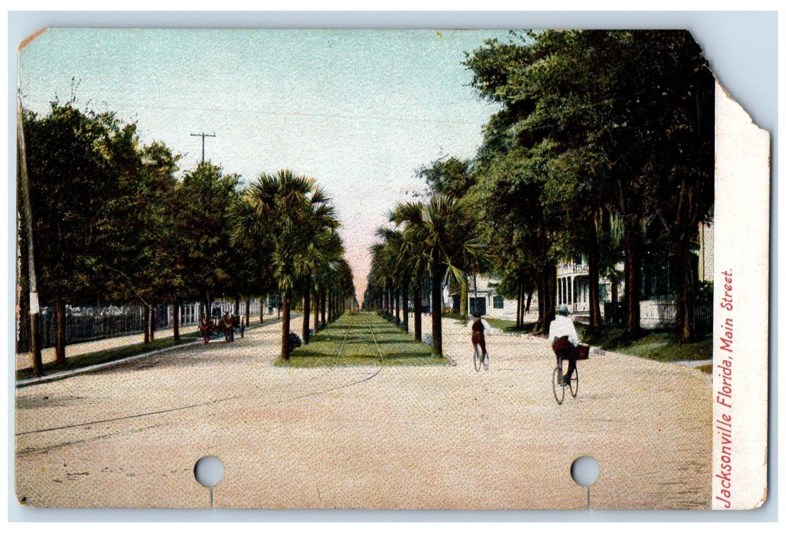 c1905 Main Street Tree-lined Scene Jacksonville Florida FL Antique Postcard