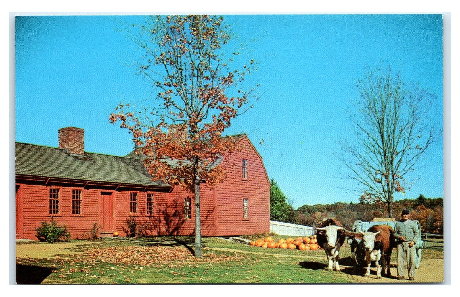 Postcard The Pliny Freeman Farmhouse, Old Sturbridge Village MA built 1801 E17