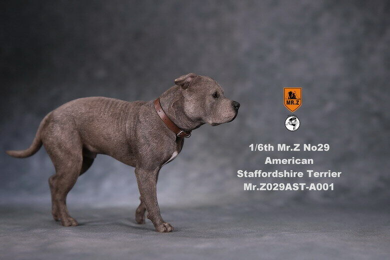 Mr.Z 1:6 Animal Simulation Toy American Staffordshire terrier for John wick 
