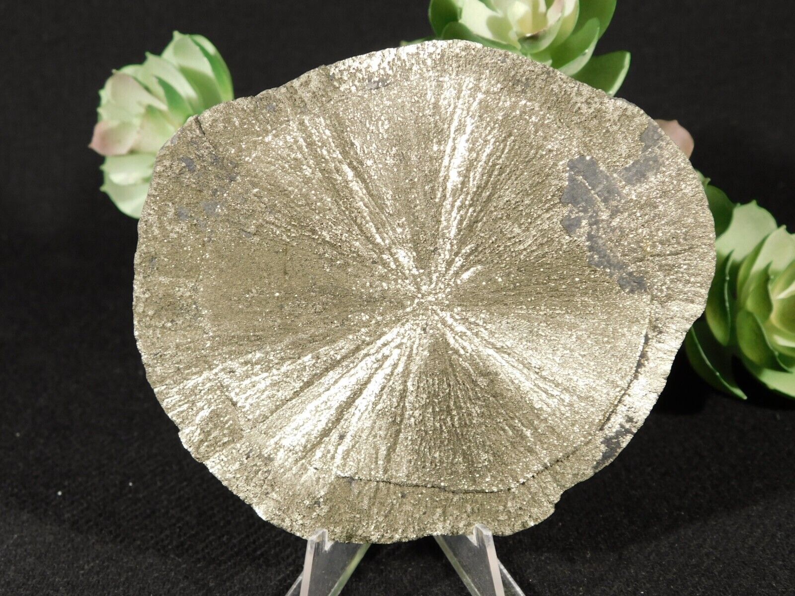 Big Pyrite SUN or Pyrite Crystal DISC 100% Natural Illinois 127gr