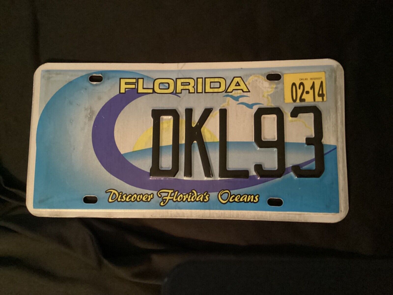 2014 Florida Discover Florida\'s Oceans License Plate DKL93