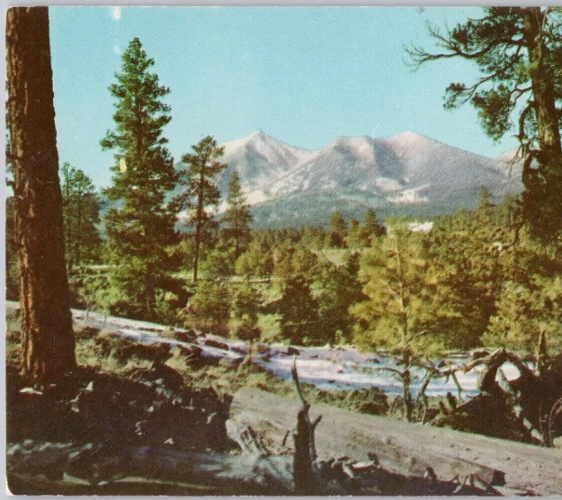 San Francisco Peaks, Coconino National Forest, AZ Snow Bowl 1960 VTG Postcard