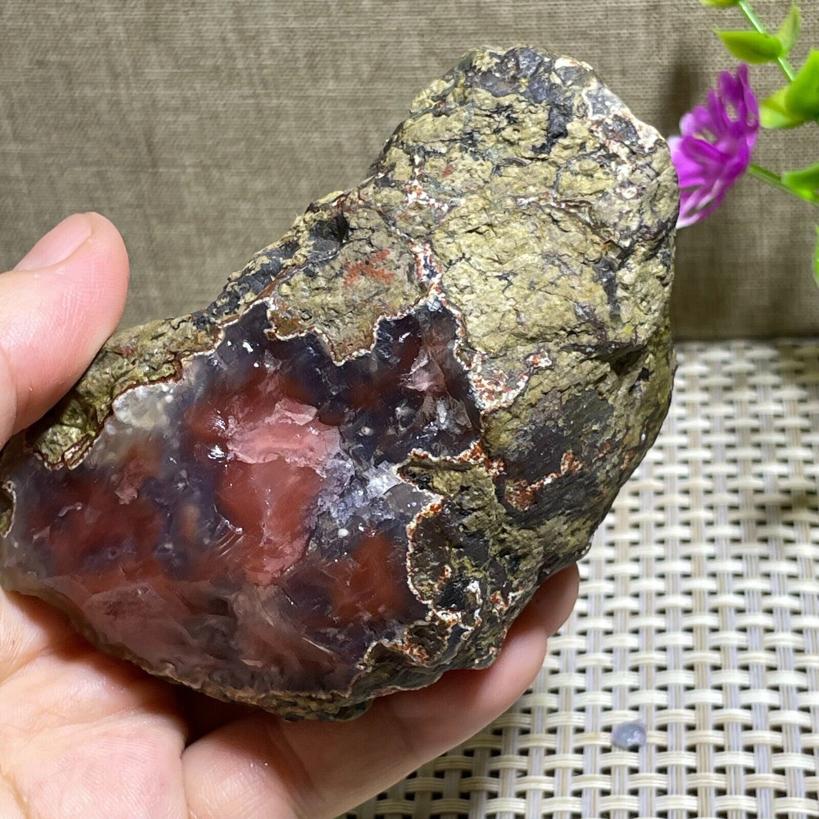 Raw Natural Red Agate quartz crystal Rough Specimen - Bonsai - Viewing 292g A81