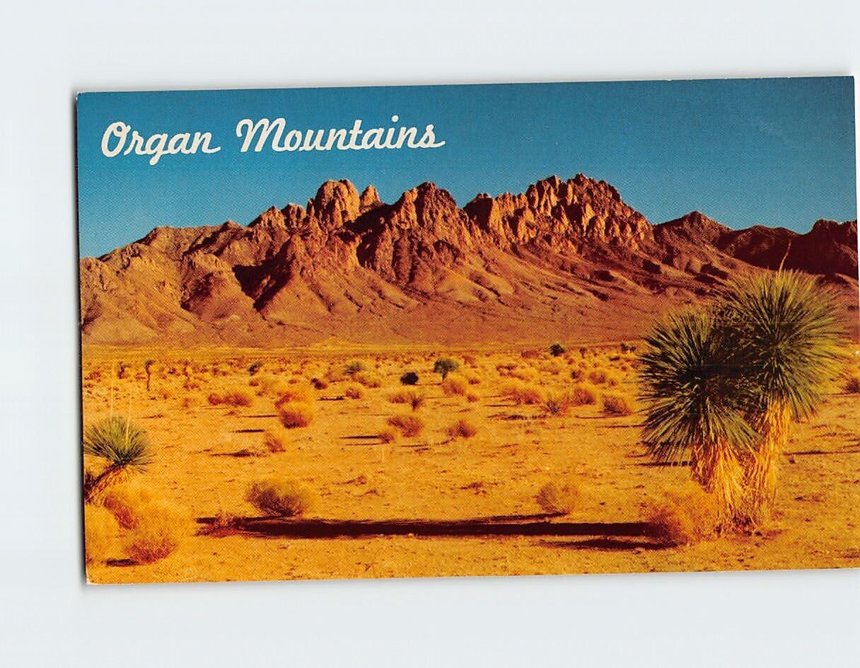 Postcard Organ Mountains New Mexico USA