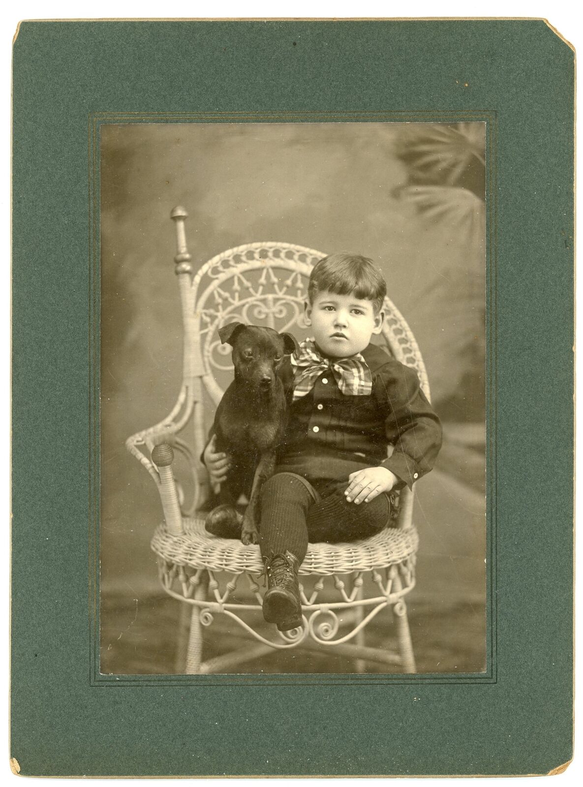 Young Boy with Cute Puppy DOG Antique Cabinet Card Photo