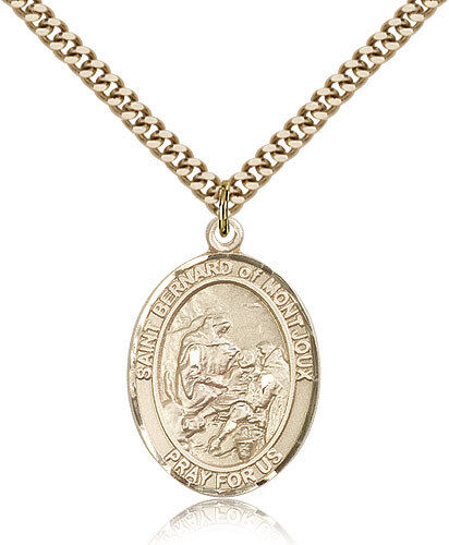 Saint Bernard Of Montjoux Medal For Men - Gold Filled Necklace On 24 Chain -...