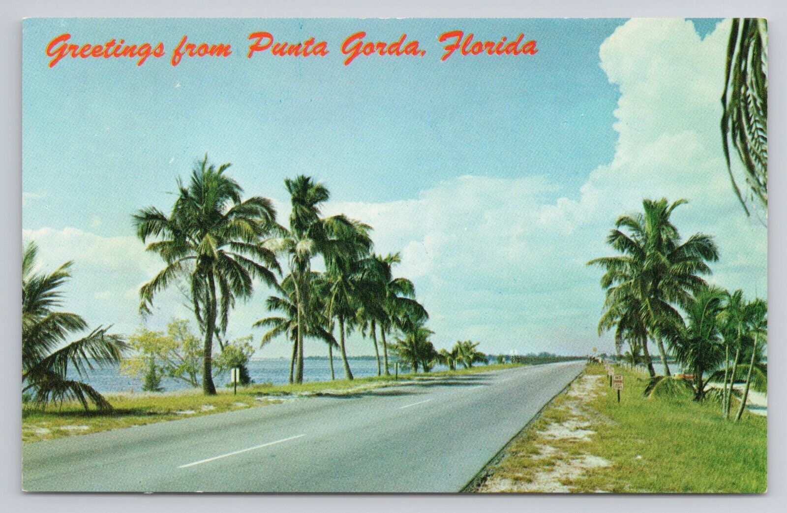 Postcard Greetings From Punta Gorda Florida