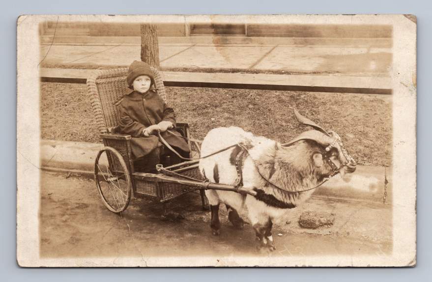Little Boy Posing in Wicker Billy Goat Cart RPPC Antique Photo Postcard ~1910s