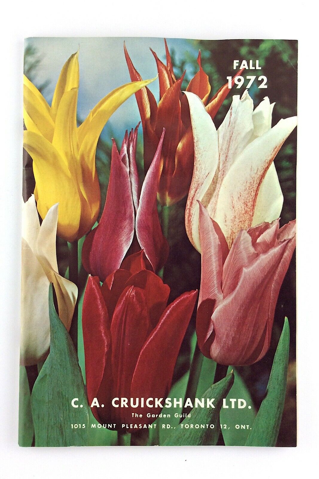 Fall 1972 CA Cruickshank Garden Guild Plant Guide Catalog Booklet L334