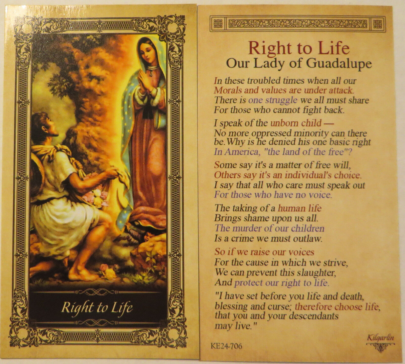 Right to Life - Laminated Holy Card 