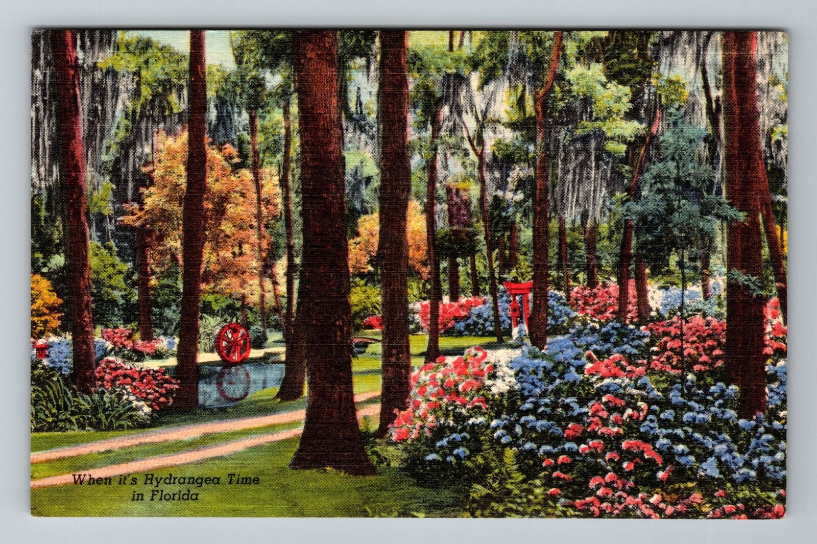 Jacksonville FL-Florida, Oriental Gardens Hydrangea Time Vintage Postcard