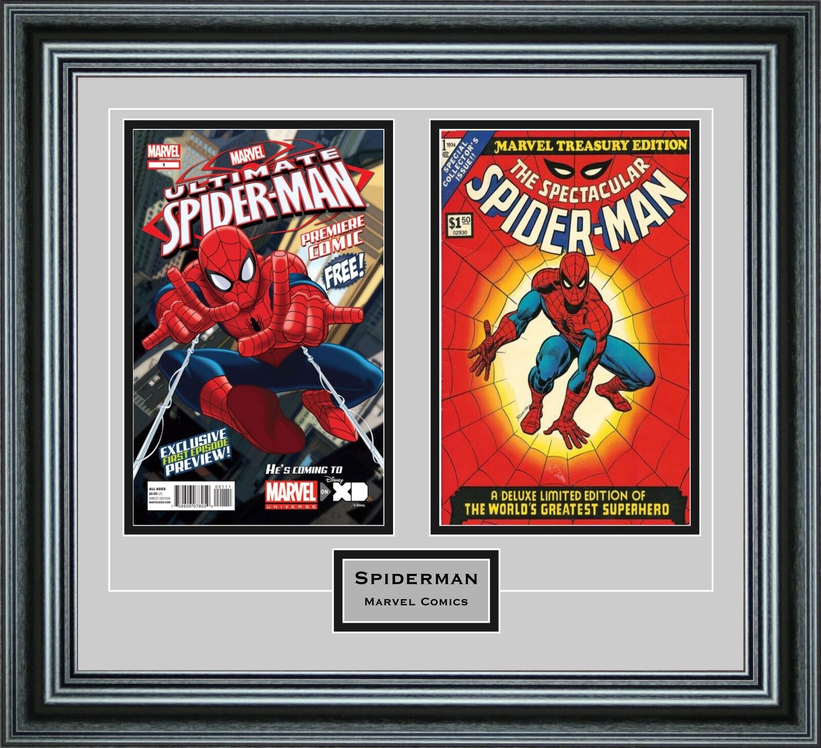 Double Comic Book Frame with Custom Engraving in our Premium Black Moulding