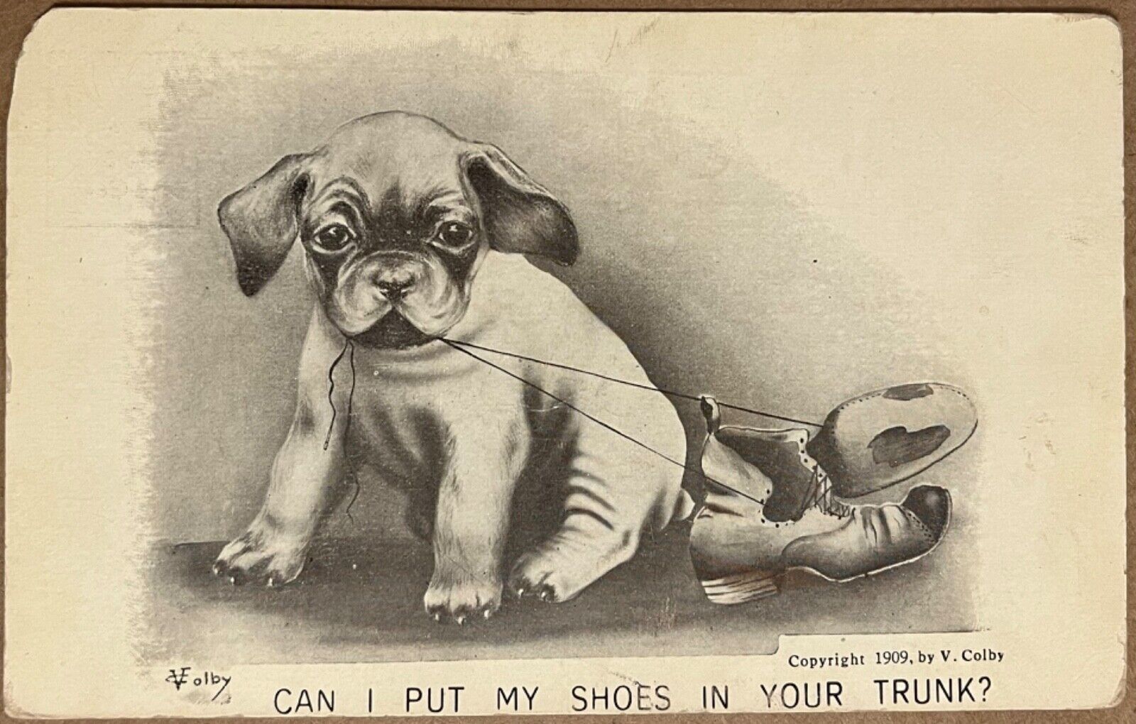 Puppy Dog Pulling Shoe Laces Artist Signed Colby Antique Postcard 1909