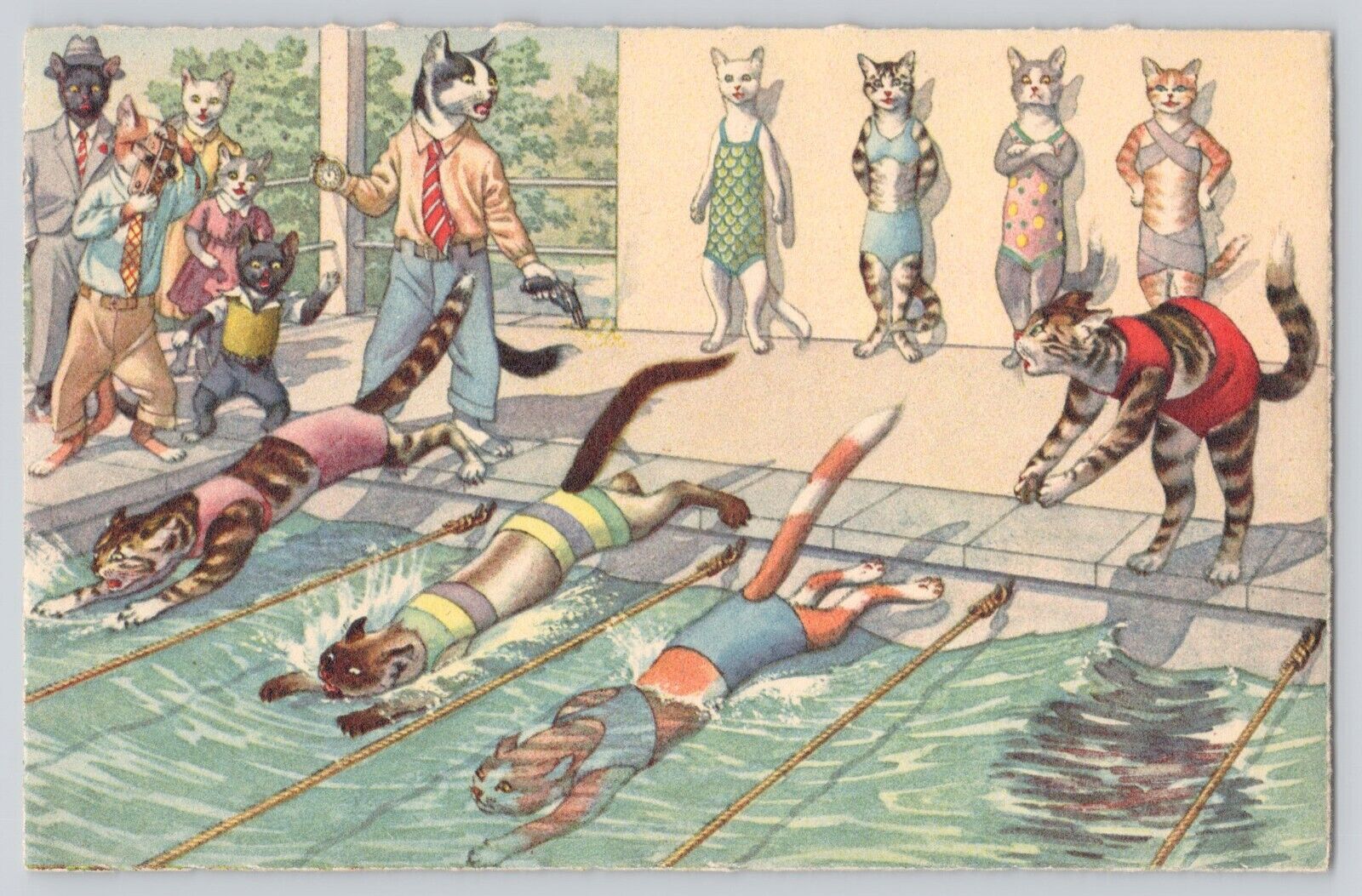 Postcard Alfred Mainzer Anthropomorphic Cats Swimming Swim Meet Swiss Hartung