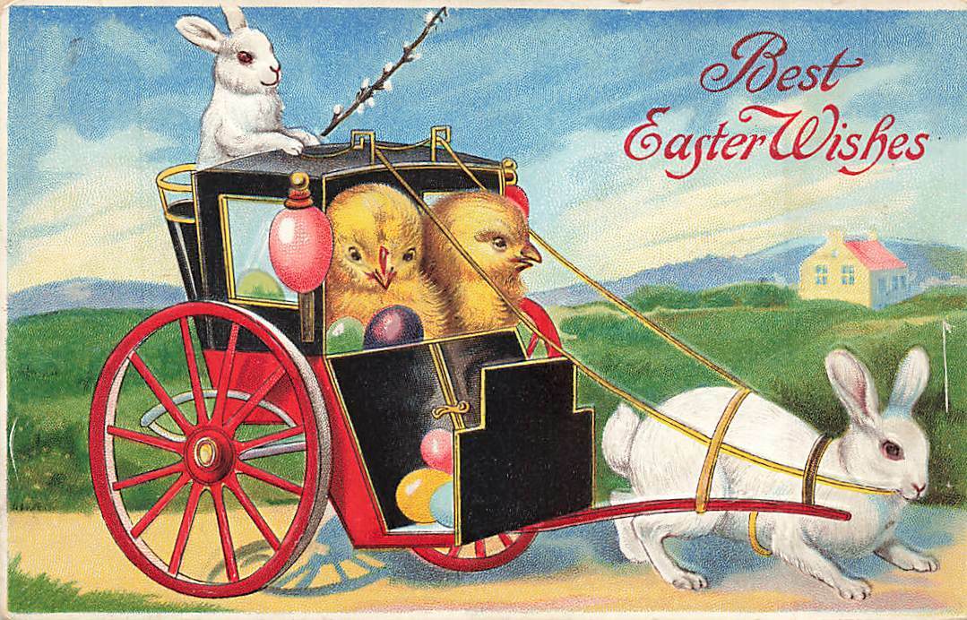 c1910 Rabbits Anthropomorphic Humanized Driving Carriage Chicks Easter P154