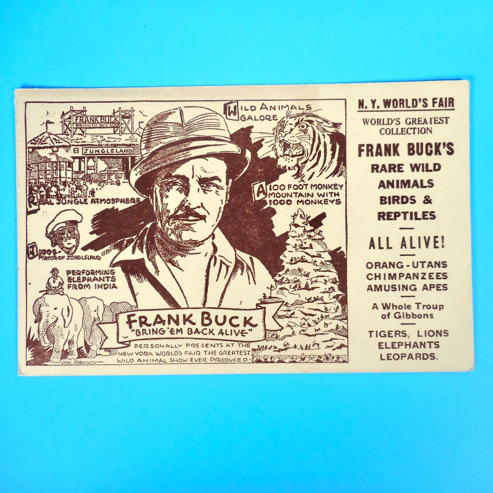 1939 New York Worlds Fair VTG Postcard Frank Buck Jungleland Wild Animals Show