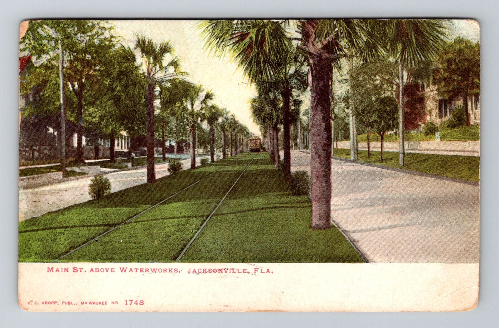 Jacksonville FL-Florida, Main Street Above Waterworks, Vintage c1906 Postcard