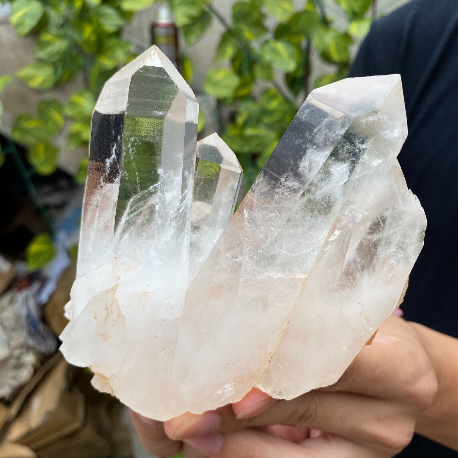605G Large Natural White Clear Quartz Crystal Cluster Raw Healing Specimen
