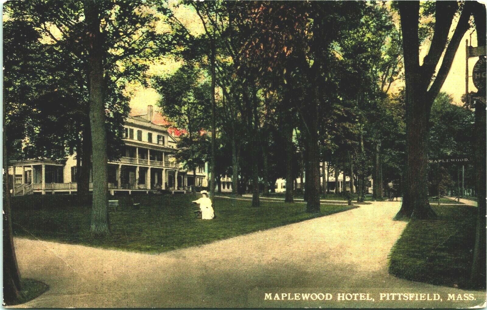 Maplewood Hotel Pittsfield Massachusetts MA 1910s UNP DB Postcard